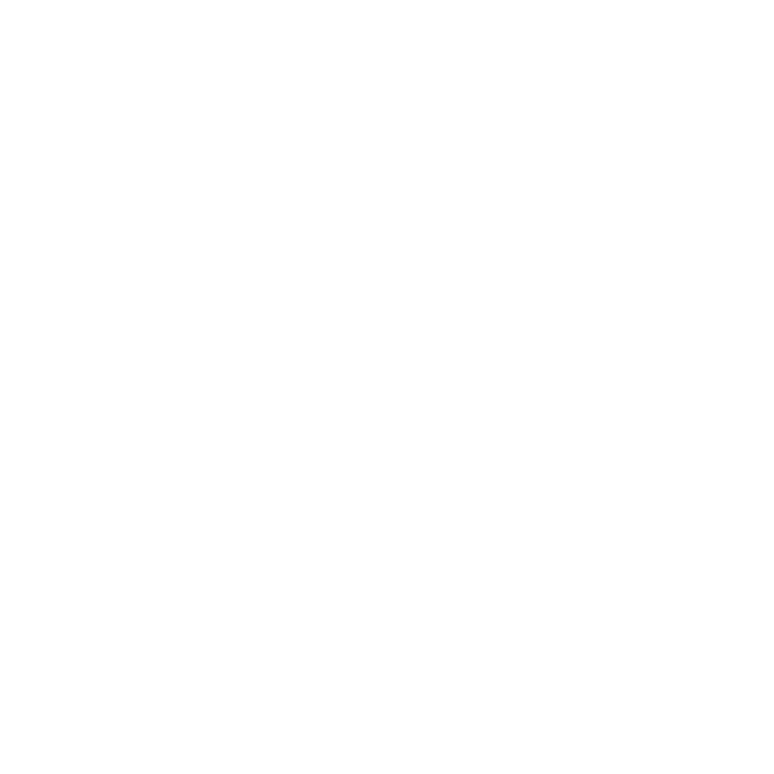 TAMU System White Seal